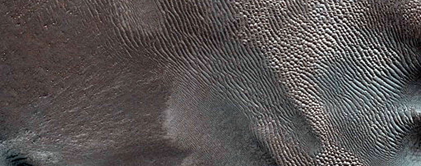 Dune Monitoring in Milankovic Crater