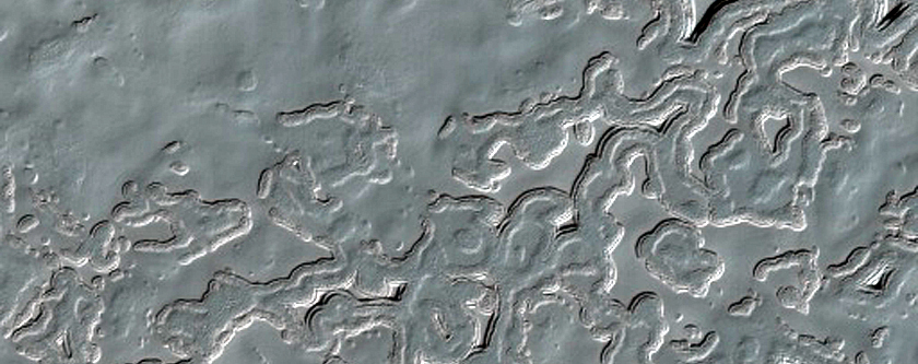 South Polar Residual Cap Monitoring