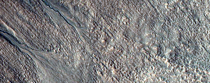 Gully Monitoring