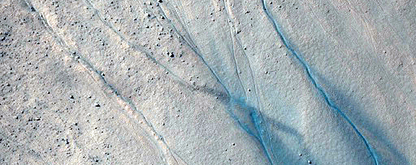 Gully Monitoring