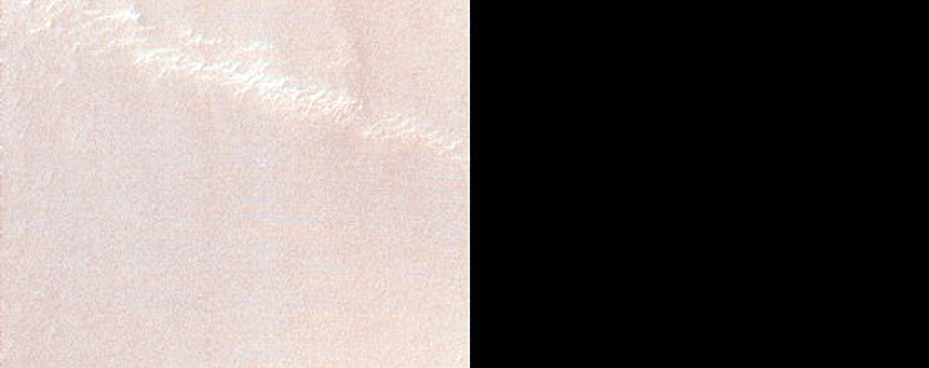 Dune Survey