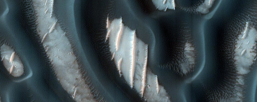 Dune Survey