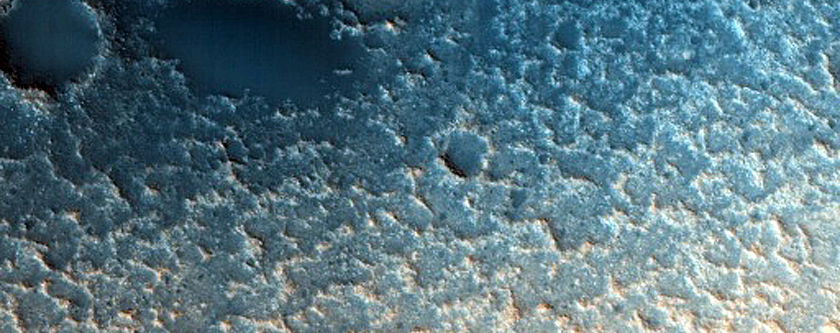 Dune Survey
