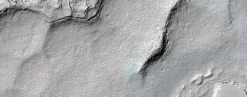 South Polar Residual Cap Monitoring