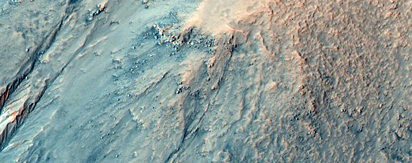 Small Patch of South-Facing Gullies in Daedalia Planum