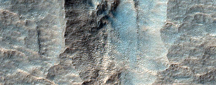 Scarp Monitoring