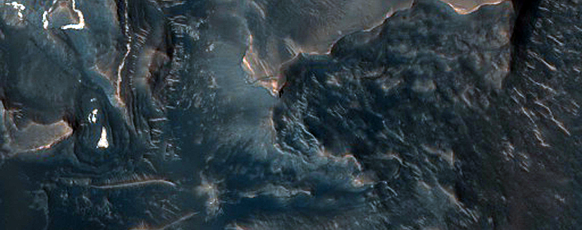 Dune Field