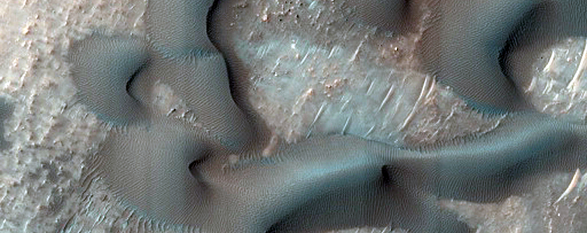 Dune Survey