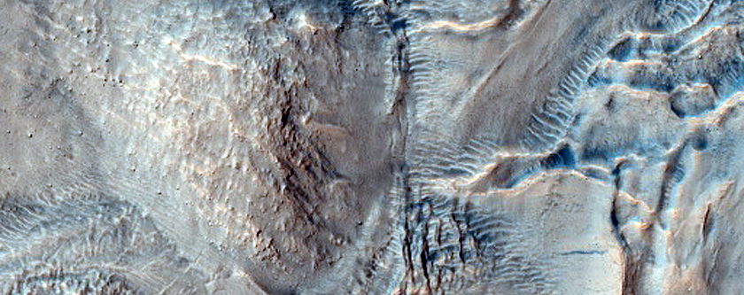Irregular Cellular Structures on Crater Floor South of Corozal Crater