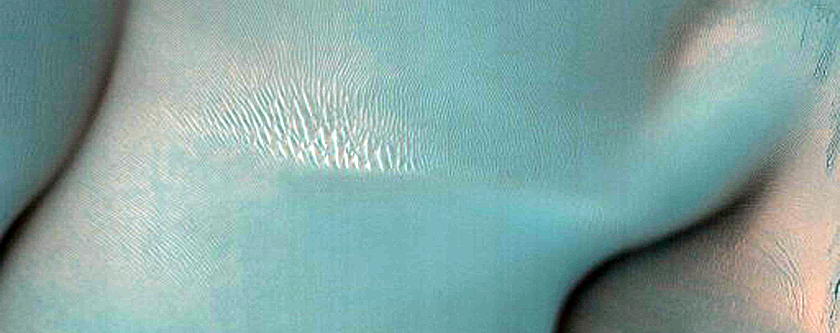 Dune Field Monitoring