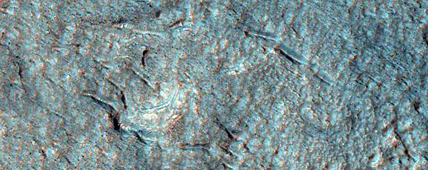 Gully Monitoring