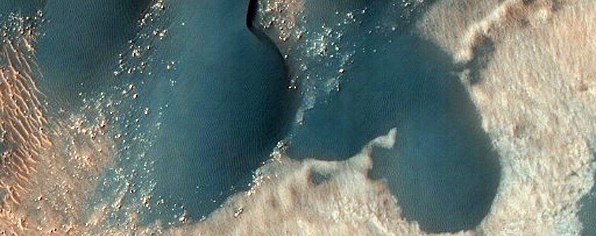 Dune Survey