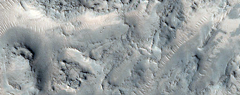 Ridges and Layers on Crater Floor near Nilosyrtis Mensae