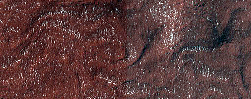 South Polar Residual Cap Monitoring