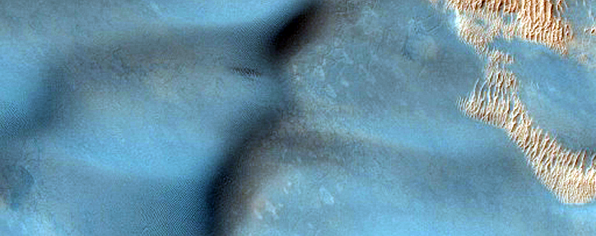 Seasonal Monitoring of Southern Polar Dunes