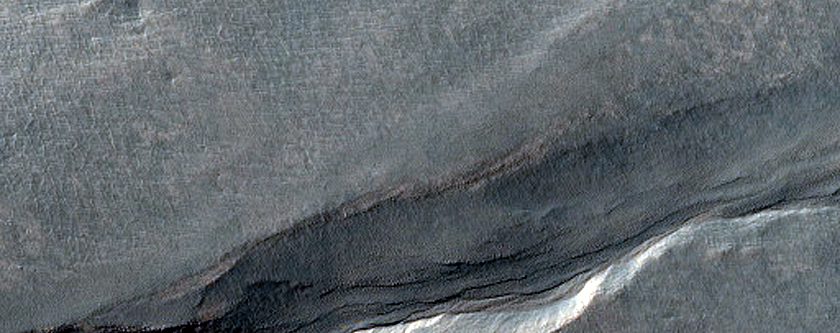 Gullies in Southern Mid-Latitude Crater