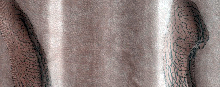 Dune Monitoring in Kunowsky Crater