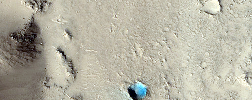 Thermal Anomaly in Young Lava Flows of Elysium Mons