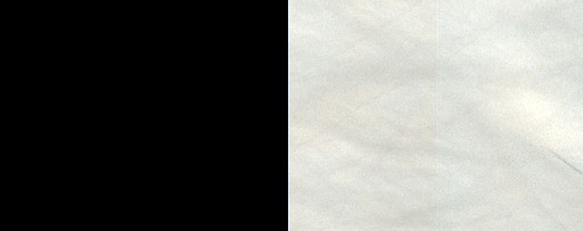 Dune Survey