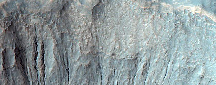 Gully Associated Light-Toned Material Monitoring
