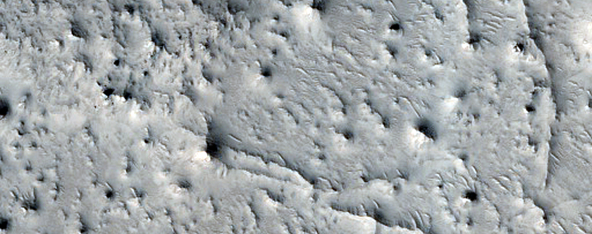 Ridge Network in Arabia Terra