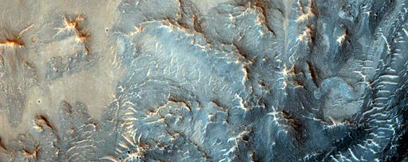 Dune Field