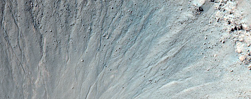 Gully Monitoring