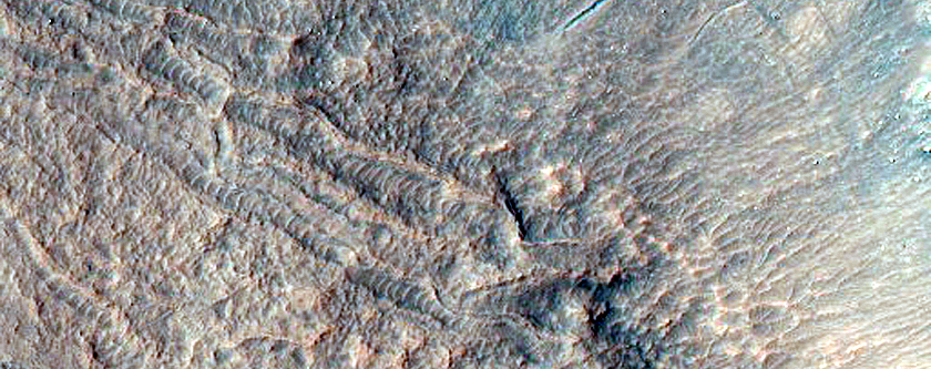 Gully Monitoring