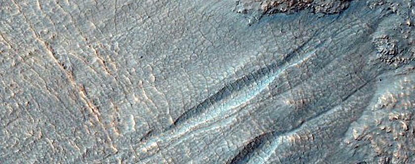 Gully Monitoring