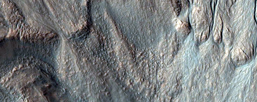 Gully Monitoring