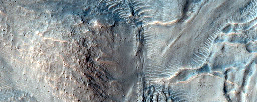 Irregular Cellular Structures on Crater Floor South of Corozal Crater