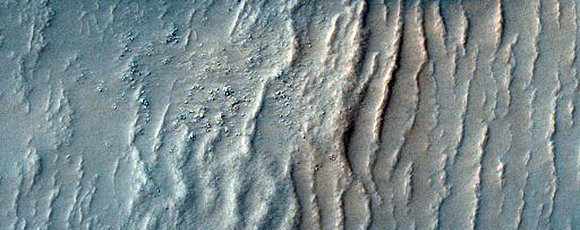 Dune Field