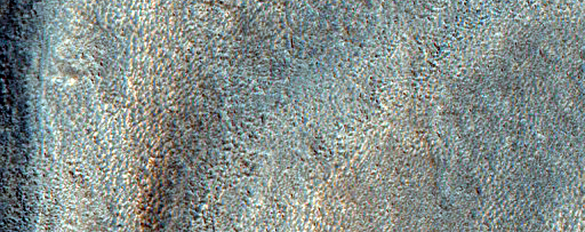 Branched Channel in Mamers Valles