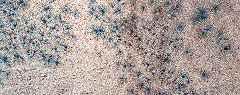 Seasonal Monitoring near Dorsa Argentea