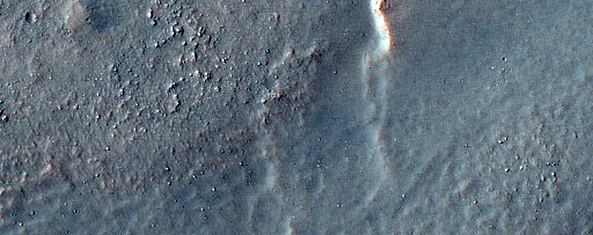 Gully on Mound in Nereidum Montes