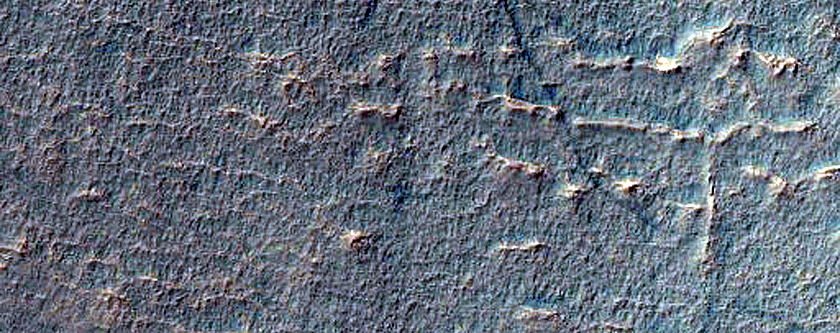 Gullies in Crater in Terra Cimmeria