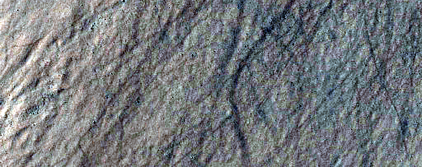 Gully Monitoring
