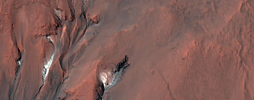 Gully Light-Toned Materials Monitoring