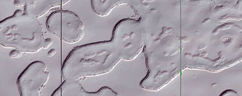 South Polar Residual Cap Stereo Campaign