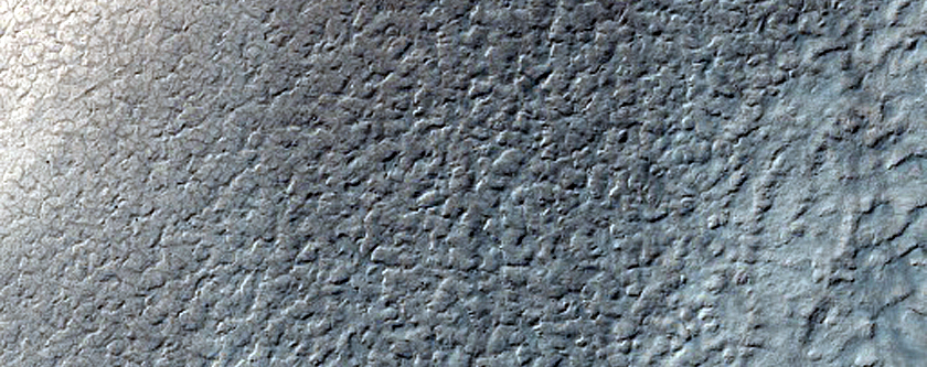 Dune Field