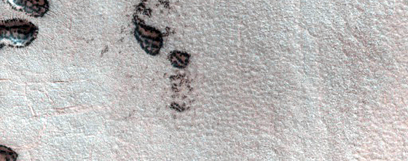 Dune Monitoring in Crater