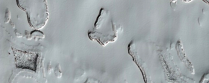 South Polar Residual Cap Stereo Campaign