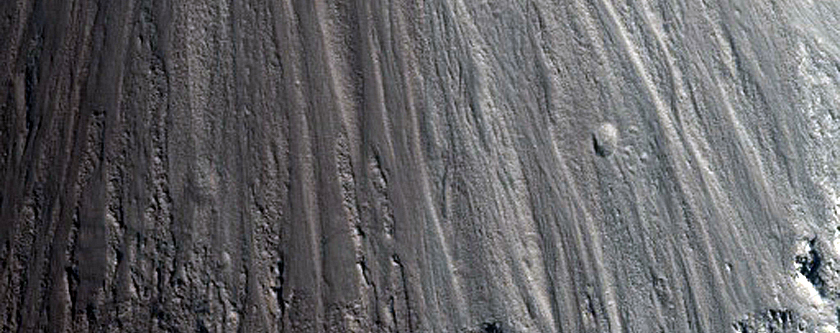 Candidate Tianwen-3 Landing Region