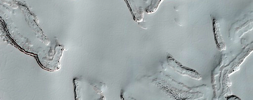 South Polar Residual Cap Stereo Campaign