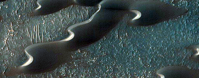 Barchan Dunes in Hellespontus Region