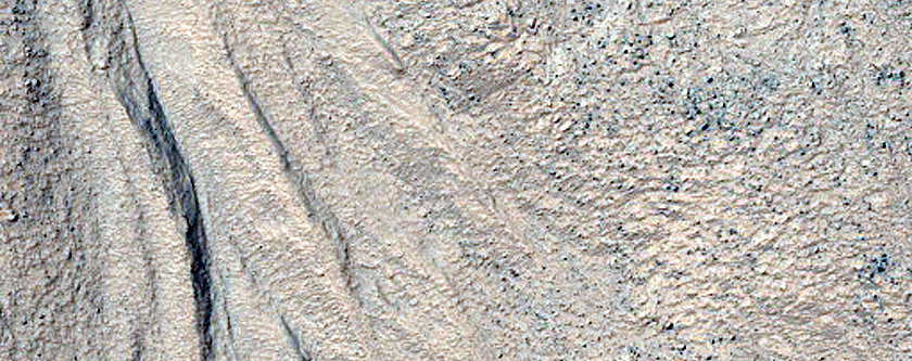 Gullies with Intricate Tributaries in Charitum Montes