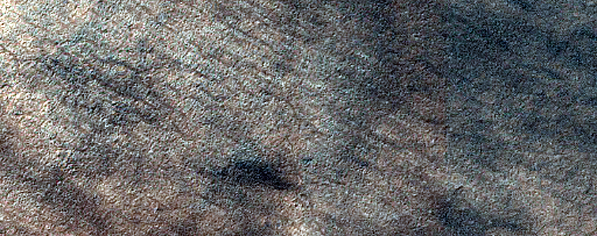 Dune Field