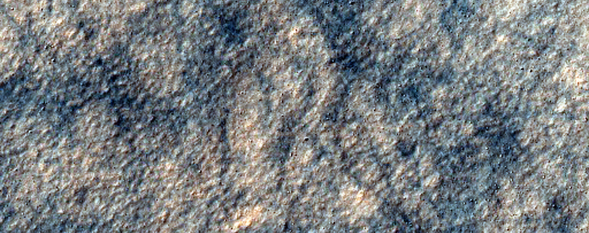 Dune Field