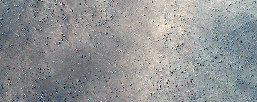 Dune Field