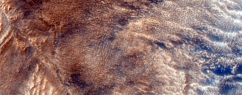 Dune Field
